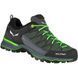 Кросівки Salewa MS MTN Trainer Lite GTX 013.001.4412 фото 2