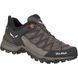 Кросівки Salewa WS MTN Trainer Lite GTX 013.001.4915 фото 1